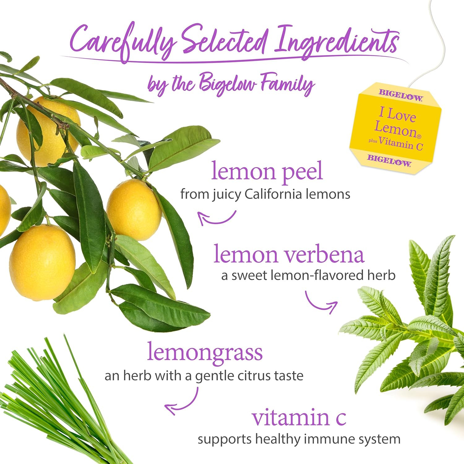 Herbal Tea, Caffeine Free Tea with Lemon, 20 Count Box Pack of 6 120 Total Bags
