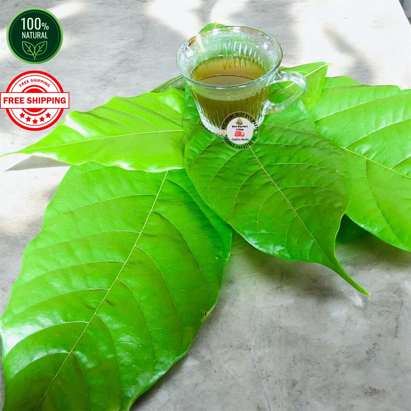 Organic Cocoa Leaf Powder Pure Natural Theobroma Cacao 50g–500g from Ceylon Pure