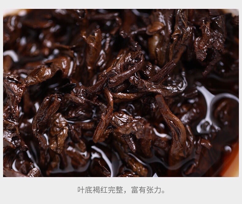 Haiwan Old Comrade Puer 2018 Liang Gong Peng Tu Ripe Pu’er Shou Puerh Tea 400g