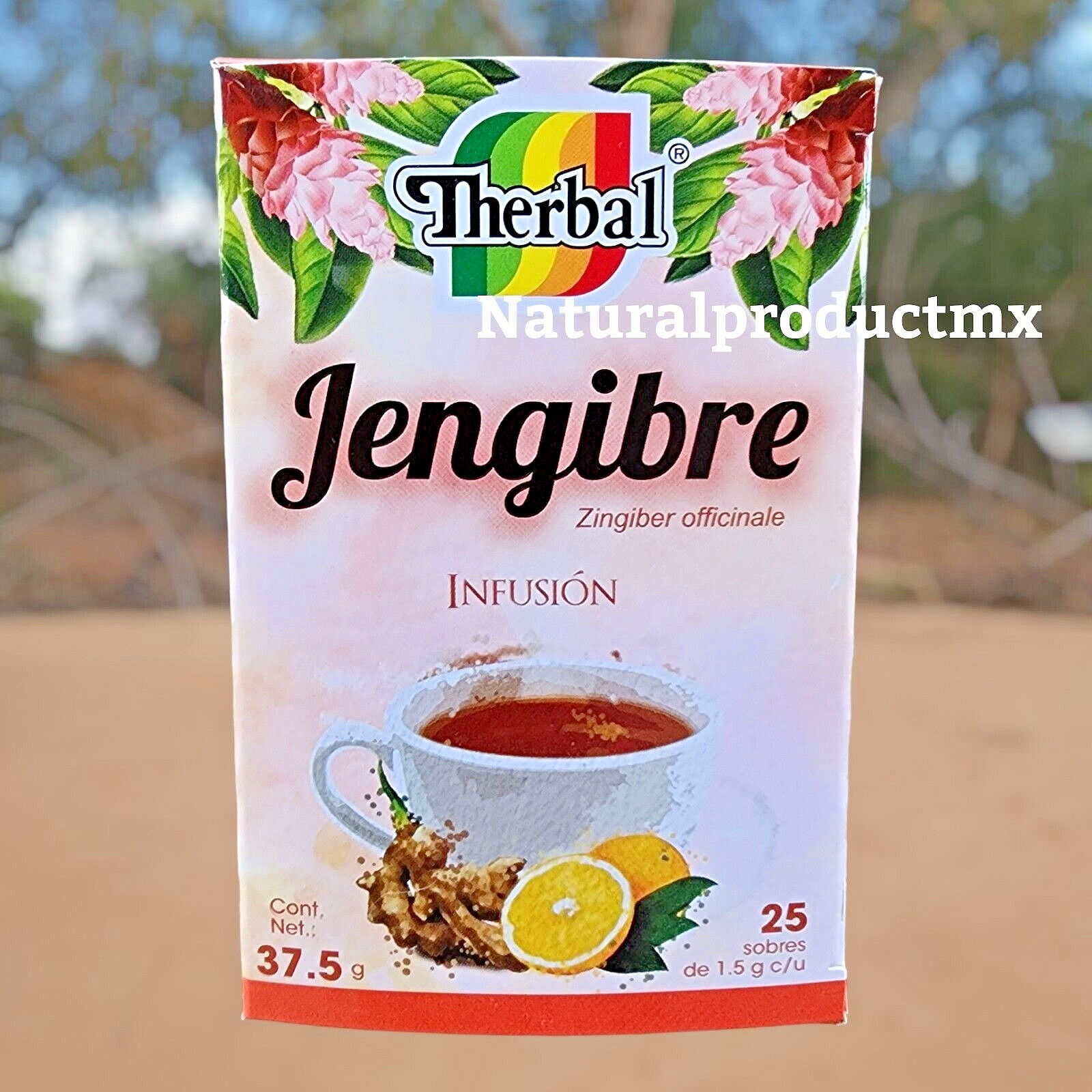 Ginger Herbal Tea ✅ (Te de Jengibre) 25 Tea Bags All Natural by Therbal