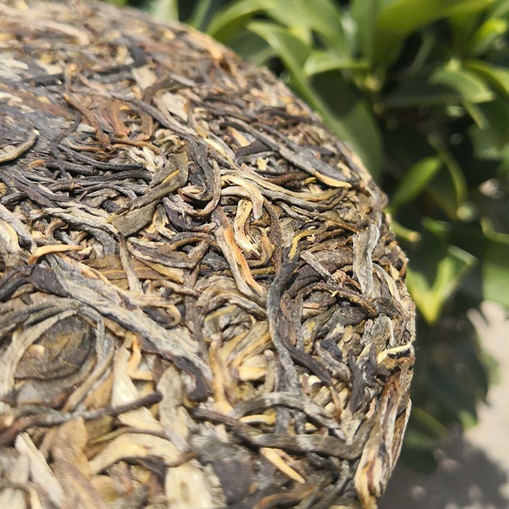 Pu-Erh tea,2020,薄荷塘 Mint pond,357g,Raw