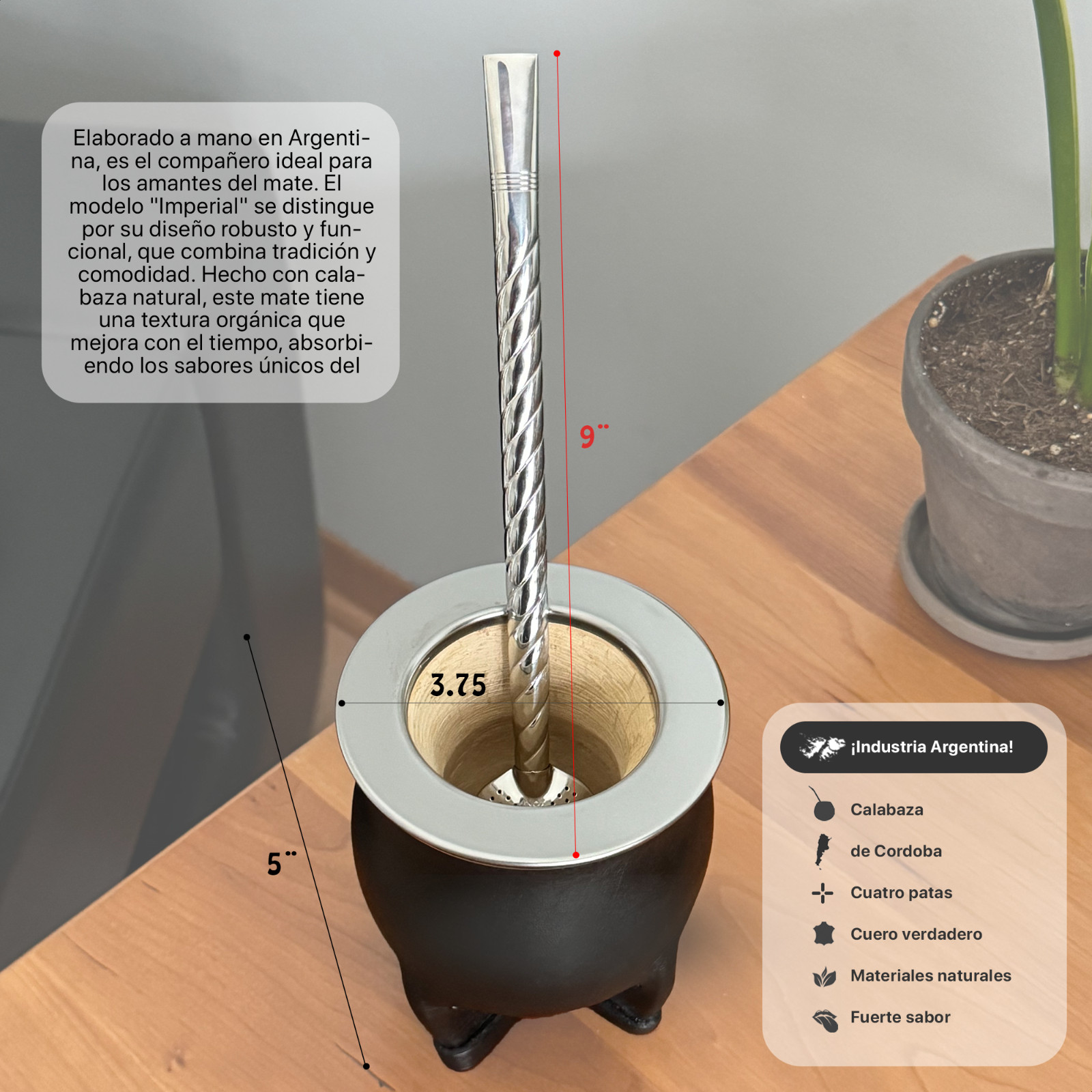 Yerba Mate Set – Mate de Calabaza Gourd – Bombilla – Handcrafted – Argentina
