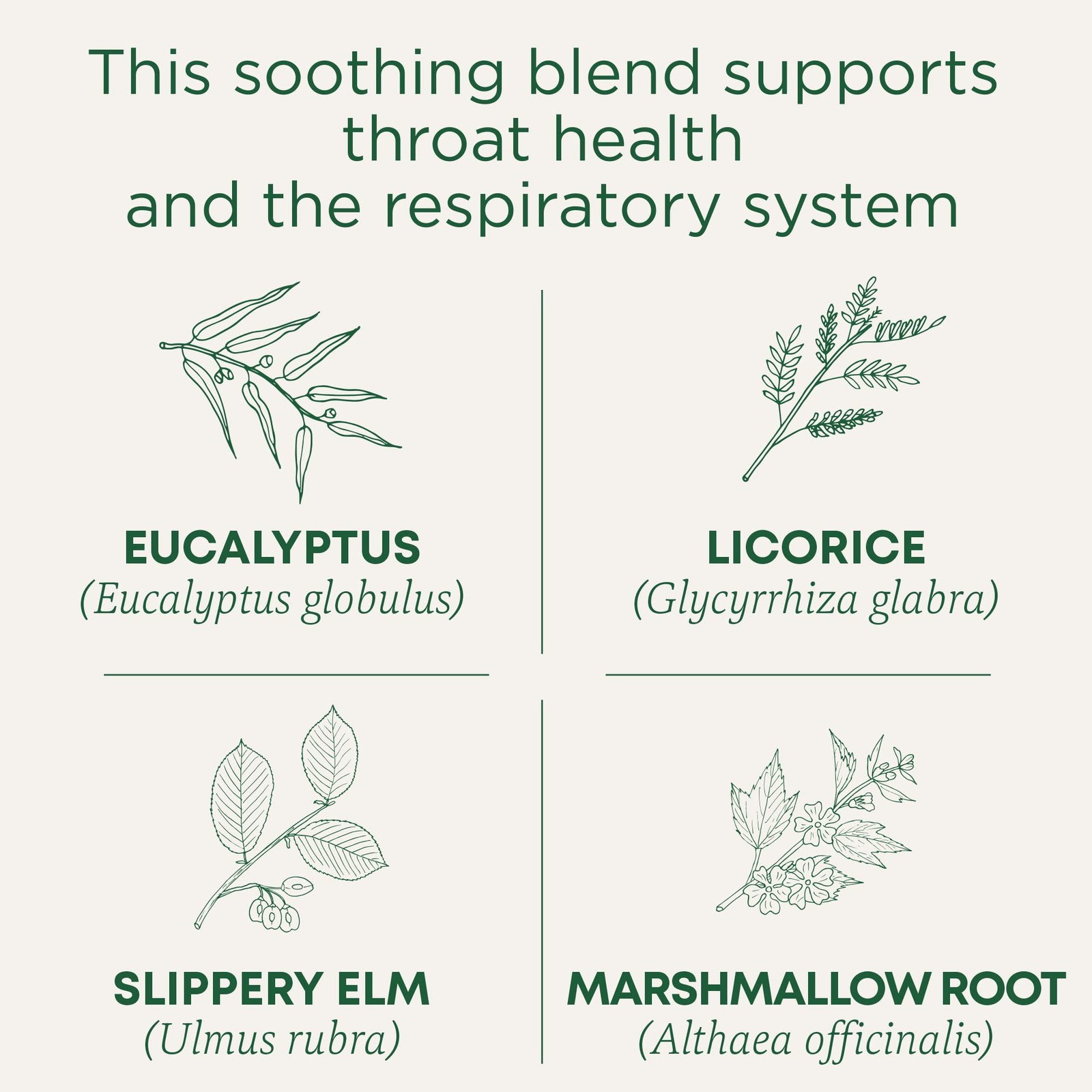 Traditional Medicinals Organic, Throat Coat 16 Count (Pack of 1), No Color