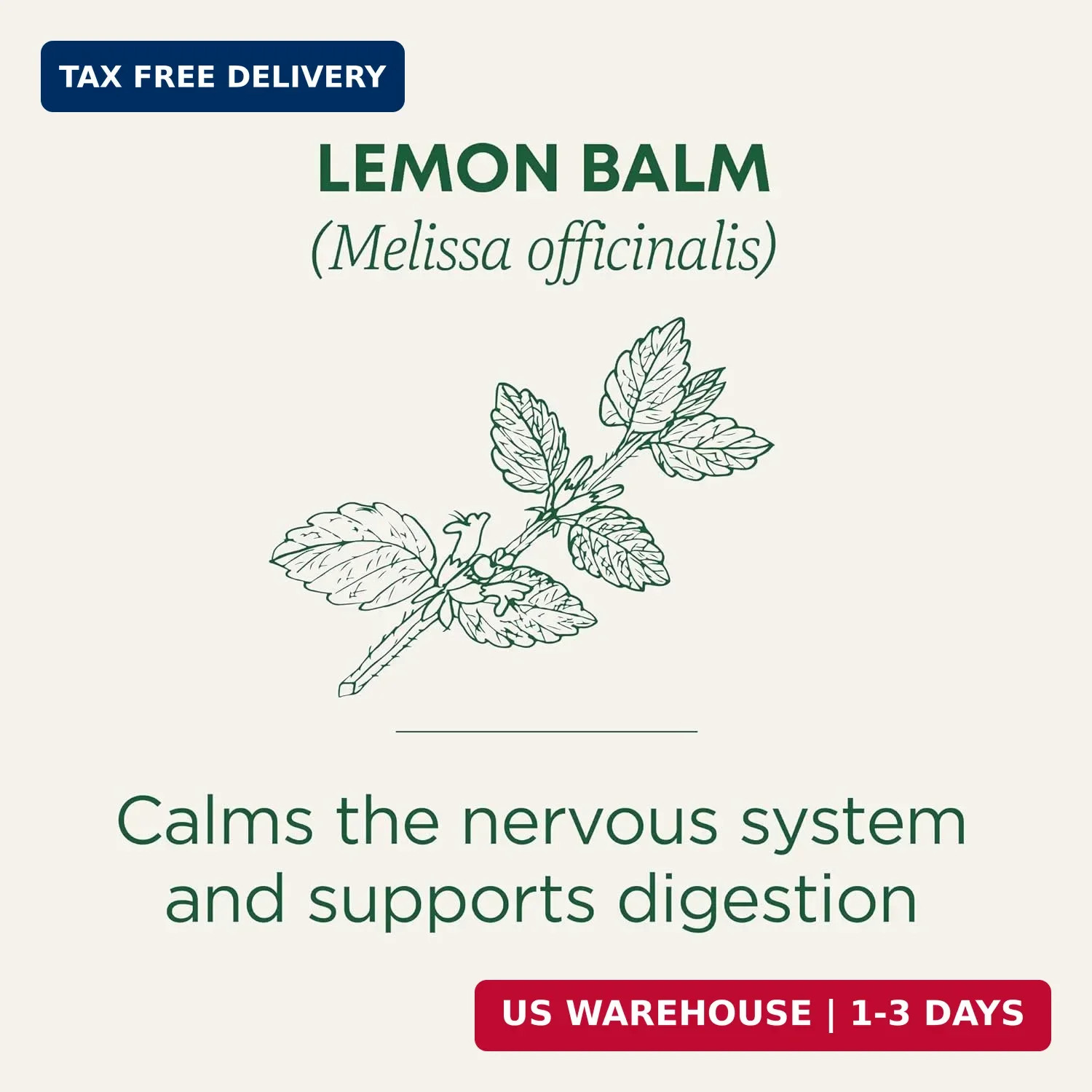 Traditional Medicinals Organic, Lemon Balm – Supports Stress Relief & Digestive