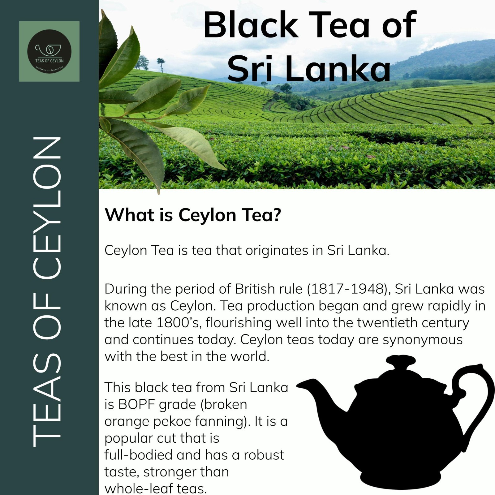 Ceylon Black Tea: Loose Leaf, 3oz (20+ cups), Original BOPF Grade