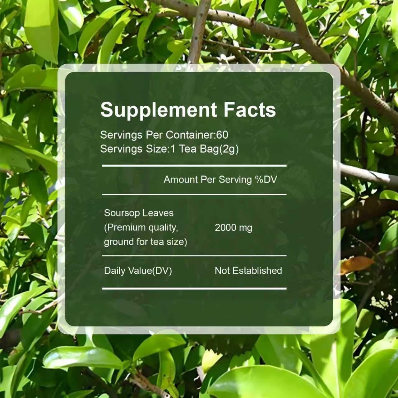 Soursop Leaves Tea 2g x 60 Teabags | 100% Natural Graviola 60