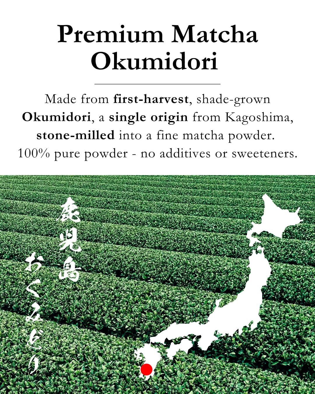 Okumidori Matcha Powder Ceremonial Grade (Organic) – 100% First Harvest Stone…