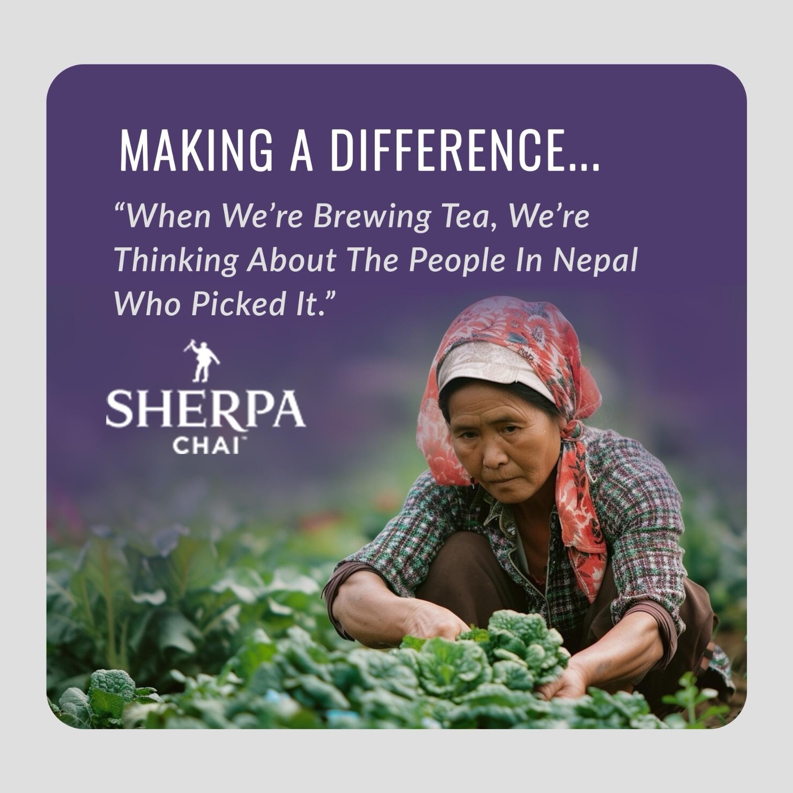 Sherpa Chai Unsweetened – 64oz