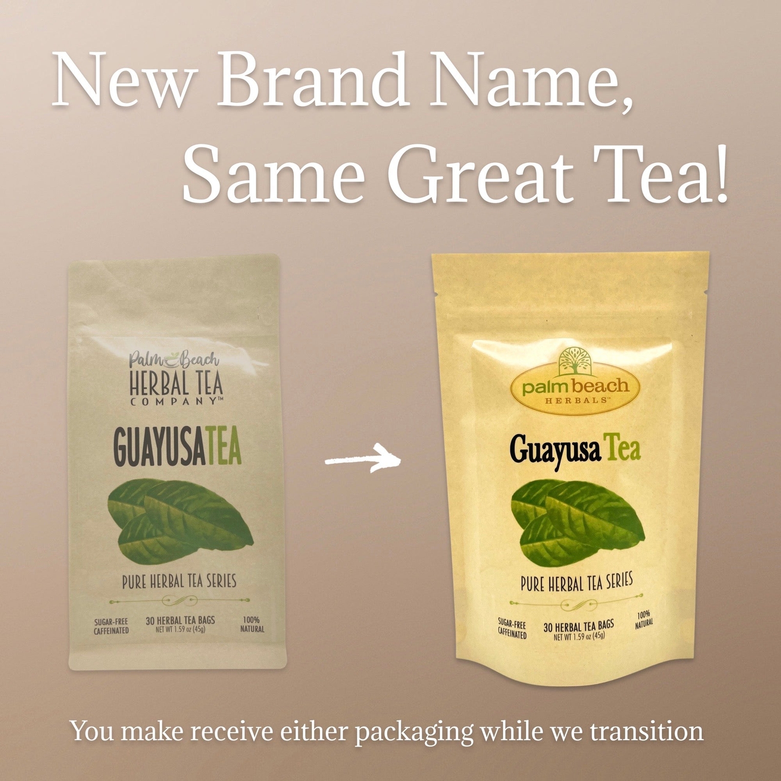 Guayusa Tea by Palm Beach Herbals | 30ct, Naturally Caffeinated