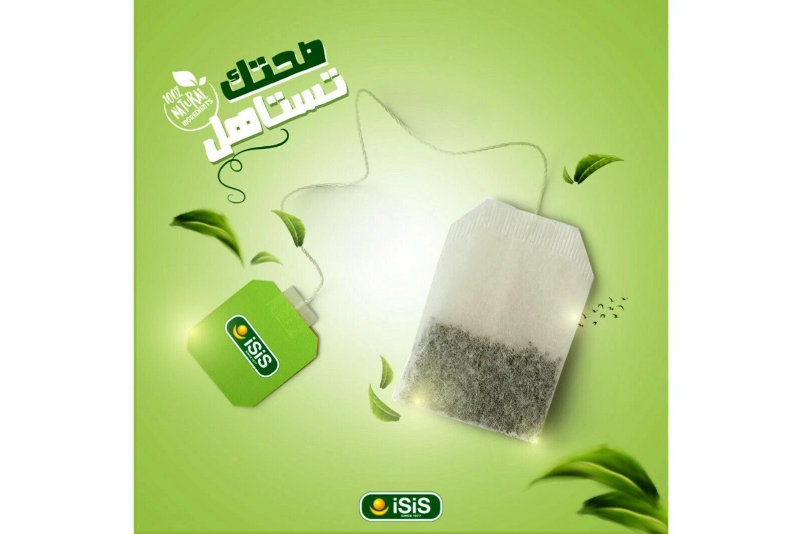 Isis Egyptian Anise Herbal Organic All Natural ايزيس ينسون ( 6 Packs X 50 Bags )