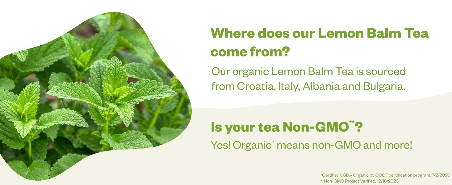 FGO Organic Lemon Balm Tea Bags – 100 Count, Eco-Friendly-5 Layer Resealable Bag