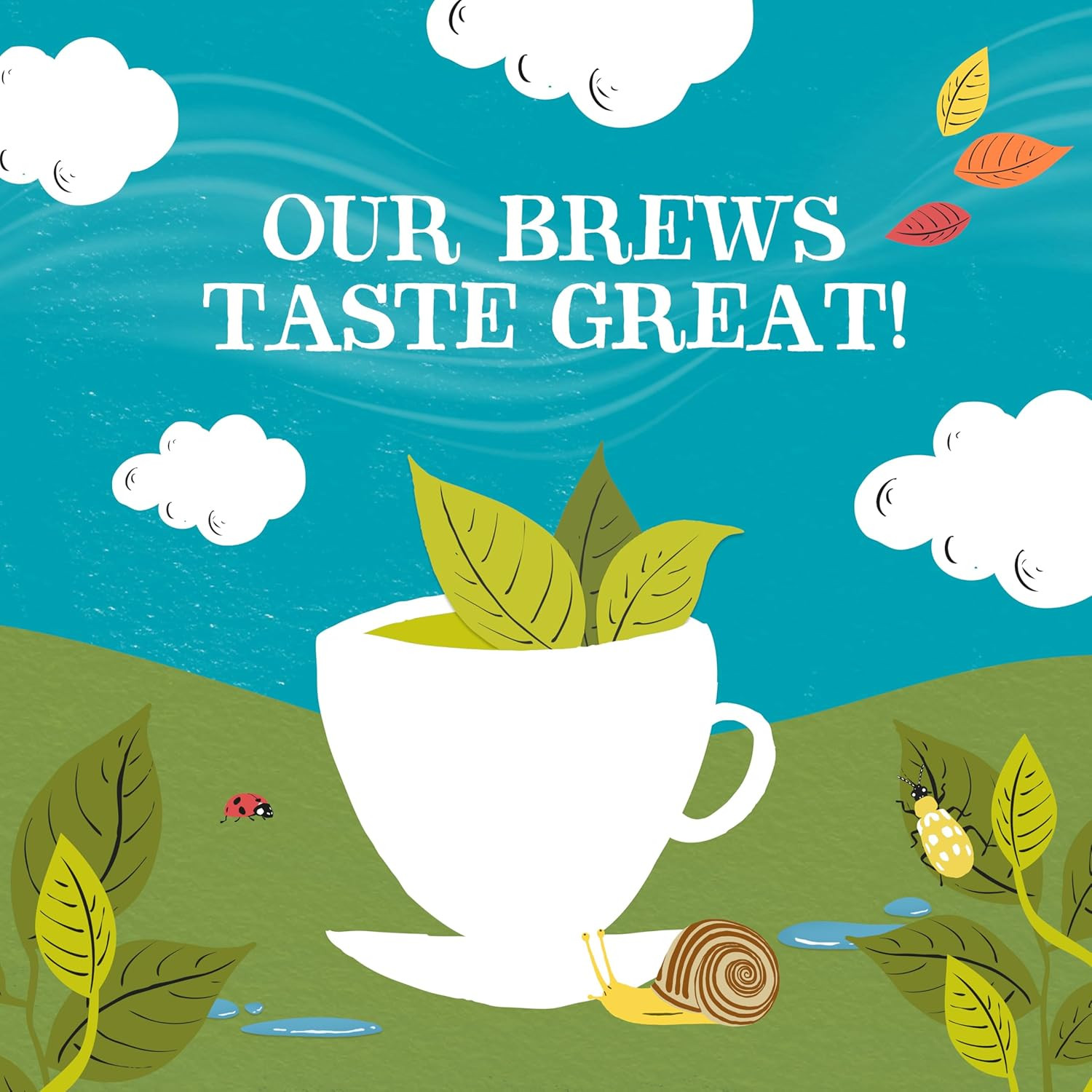 Clipper Tea, Organic Fairtrade Everyday, Organic, USDA Non-Gmo, Fair Trade