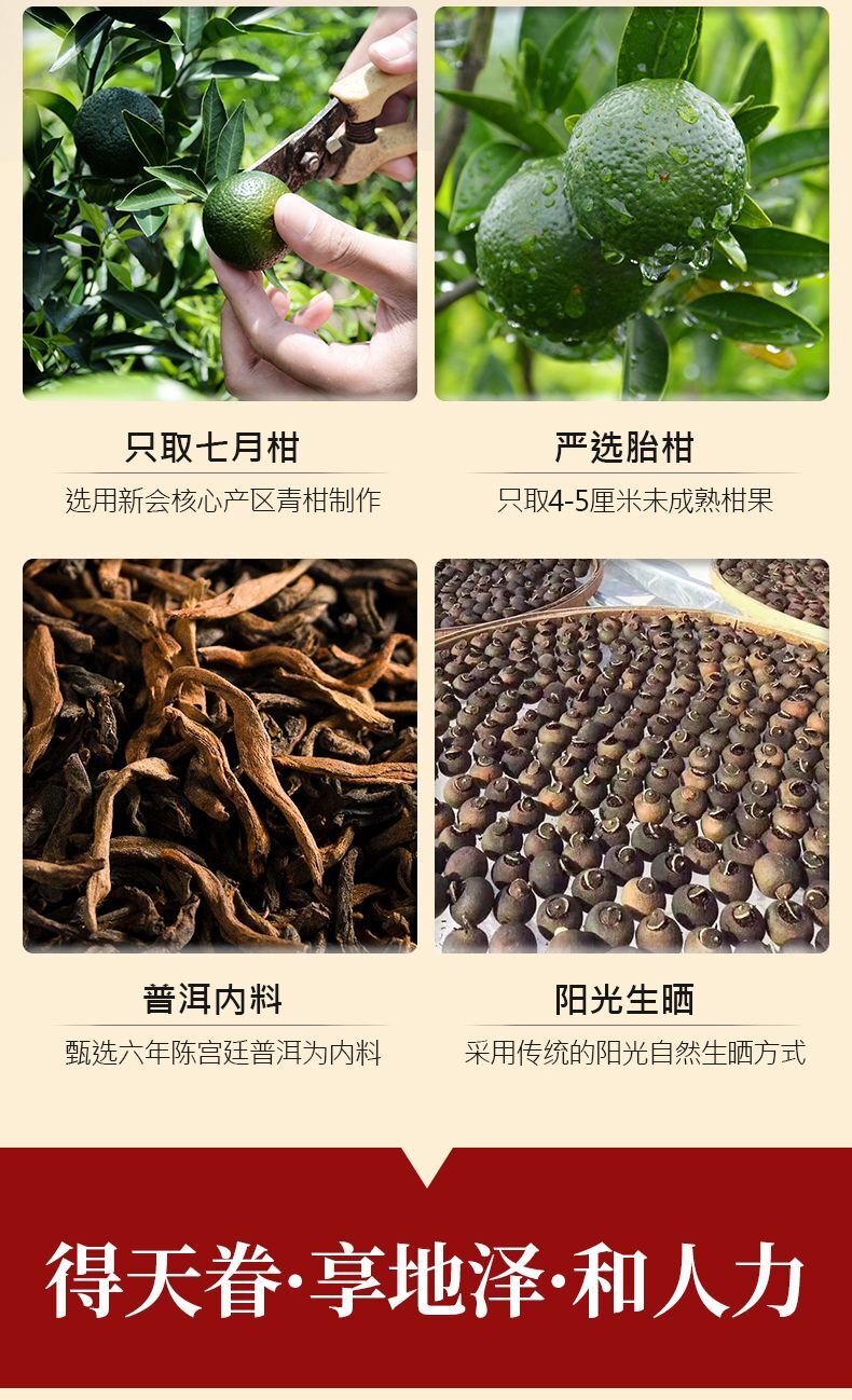 Xiao Qing Gan Puerh Tea Palace Orange Peel ChenPi Citrus Pu’er Ripe Tea 250g
