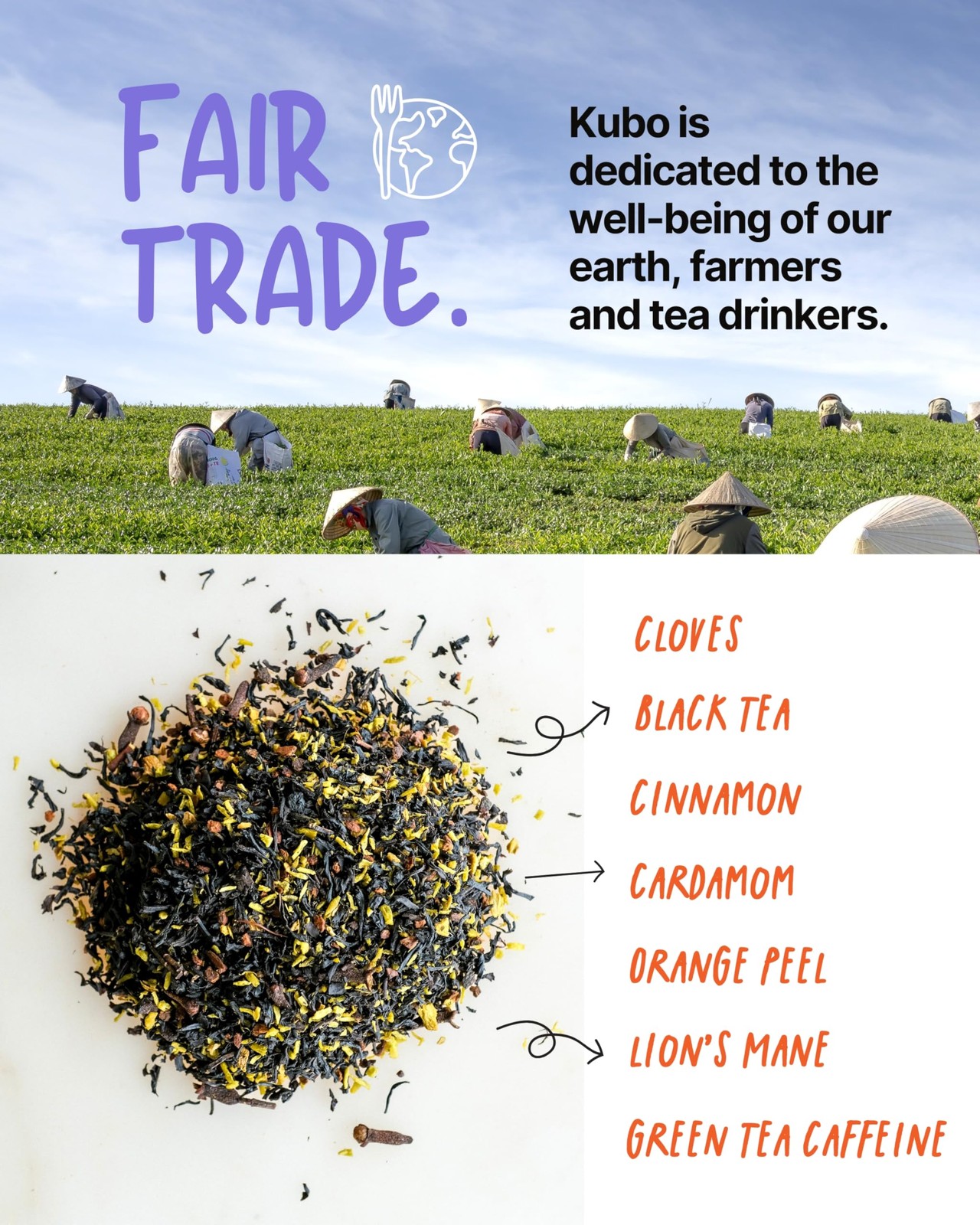 High Caffeine Mushroom Tea (155 mg) – Kubo Tea: Organic Lion’s Mane Chai…