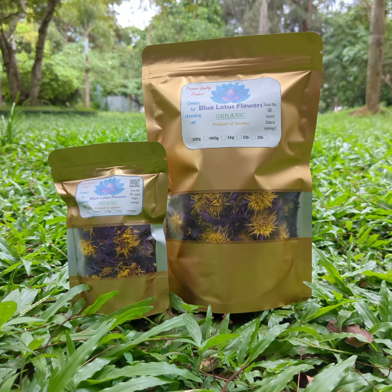 Blue lotus Flower| Dried Nymphaea caerulea Organic Natural Ceylon Herbal Tea 1oz