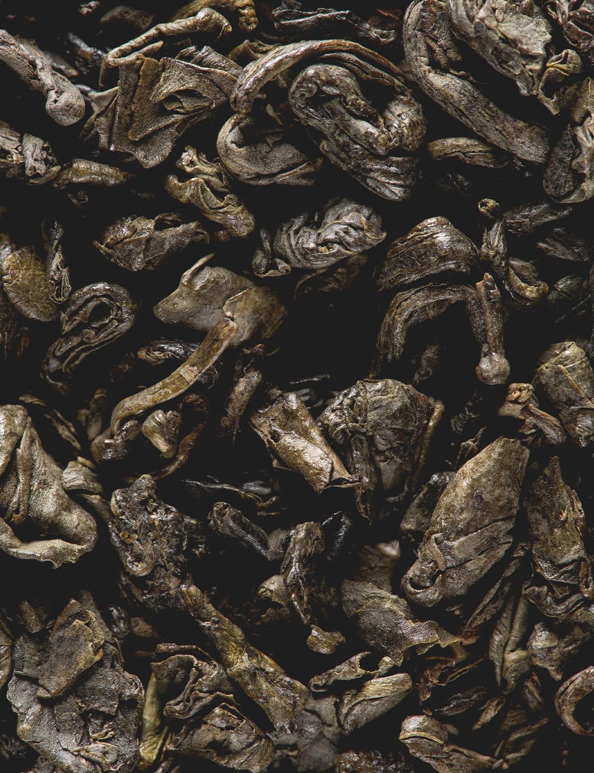 Dammann Freres Satchets, Gunpowder Green Tea Bags, Premium Gourmet French Tea…