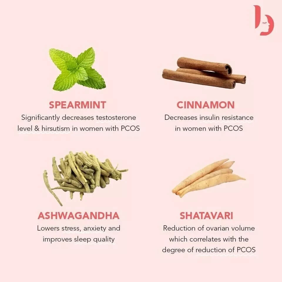 The Basics PCOS Tea 60g Free Shipping World Wide