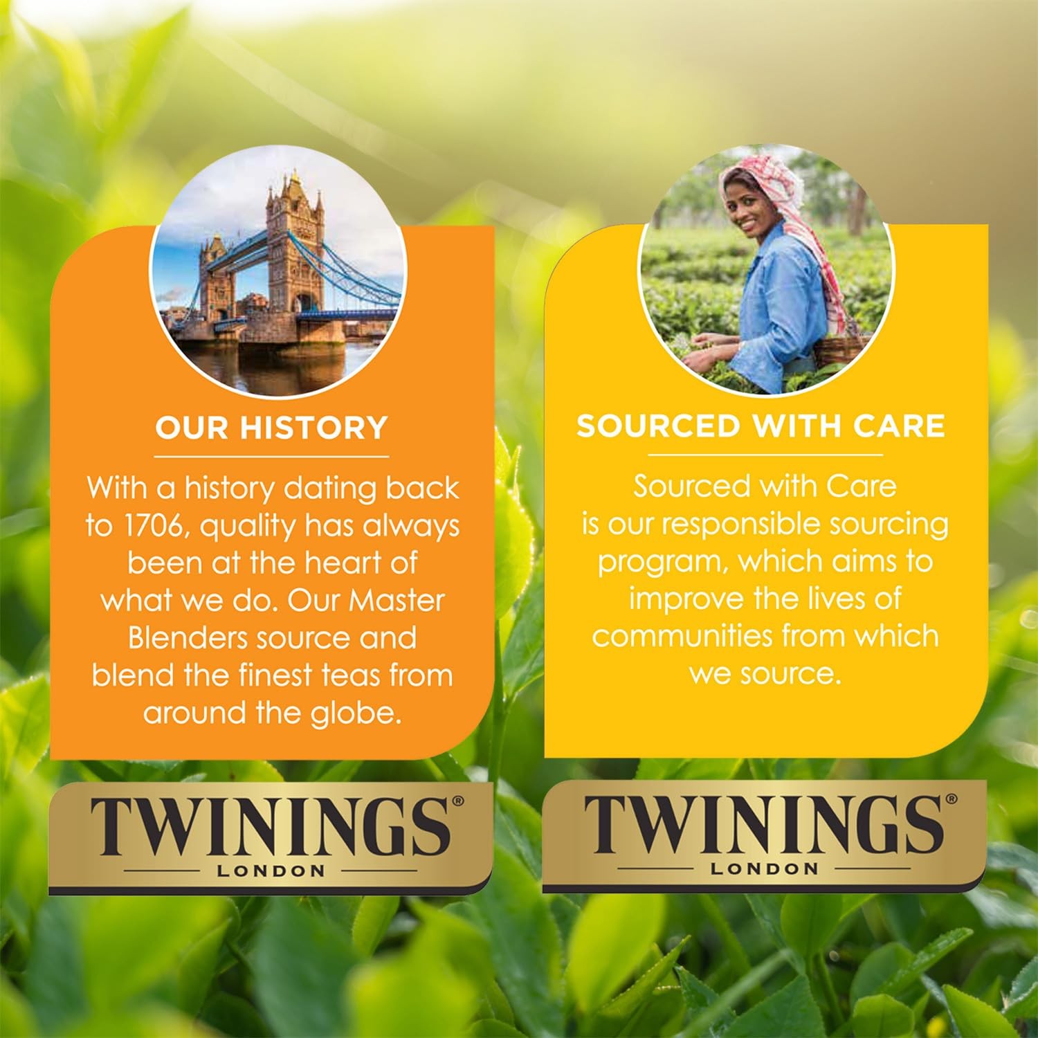 Twinings English Breakfast Tea, Decaffeinated 50 Count (Pack of 1), No Color