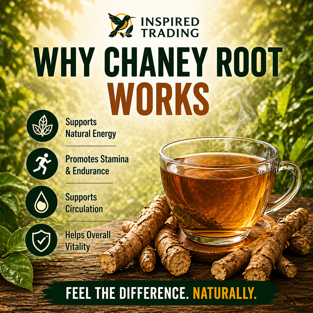 Jamaican Chaney Root Tea 2 Pack Dried Strong Back Roots Herbal Tea