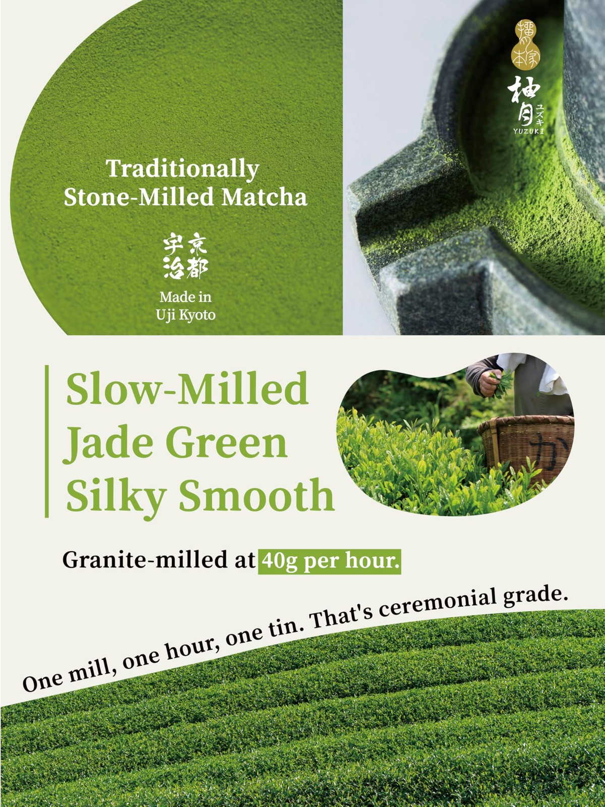 Premium Japanese Ceremonial Grade Matcha Powder, First Harvest Matcha Green T…