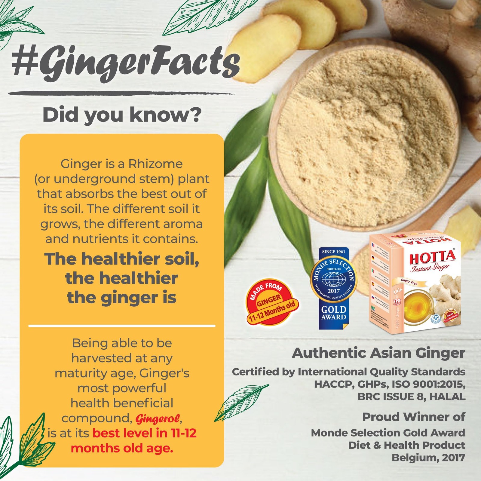 Instant 100% Ginger Drink Powder, No Sugar, Bold & Spicy, Caffeine-Free Herbal T