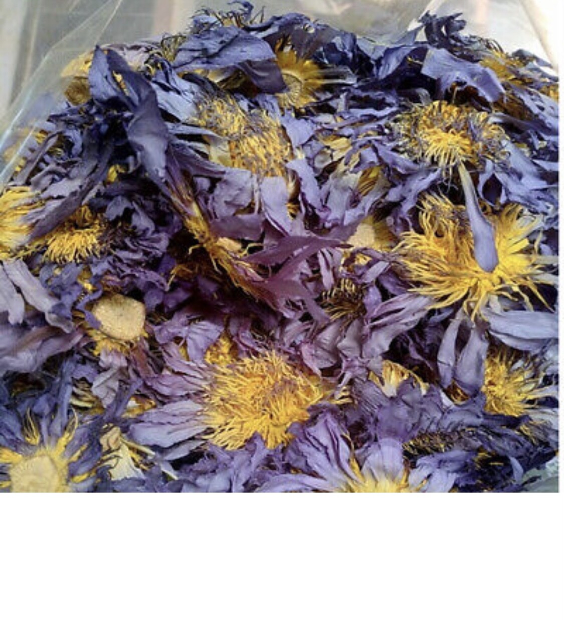 Blue Lotus (Nymphaea Caerulea) herbal tea – Bulk