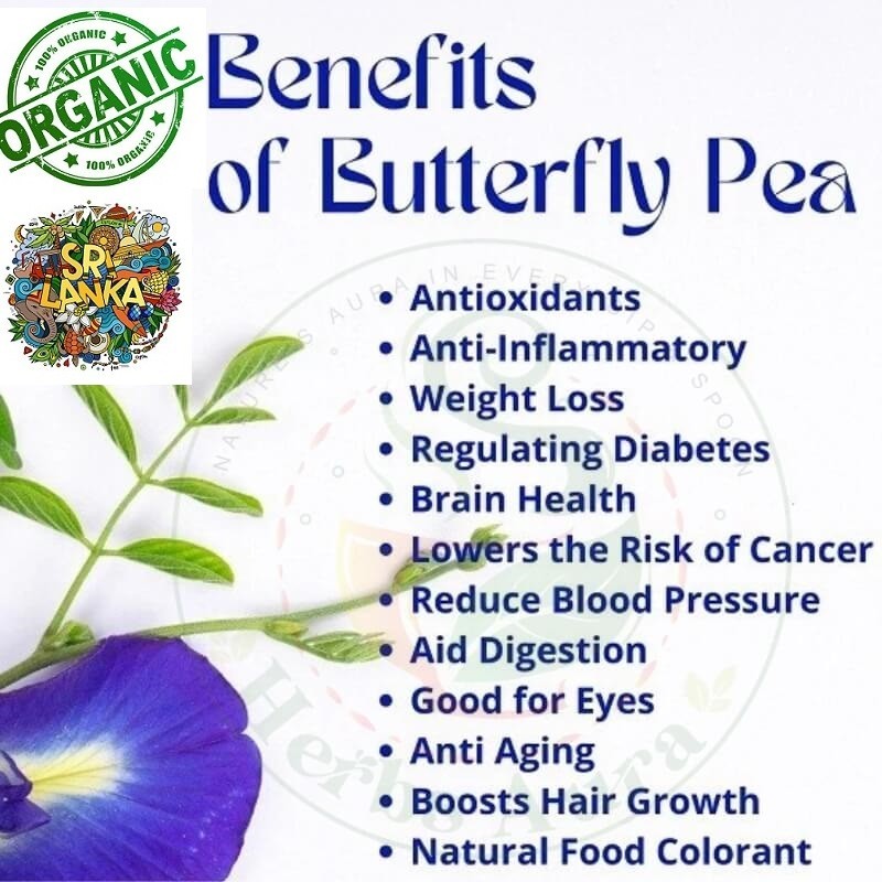 Natural Organic Pure Blue Butterfly Pea Flowers Nil Katarolu Herbal 30 Tea Bags