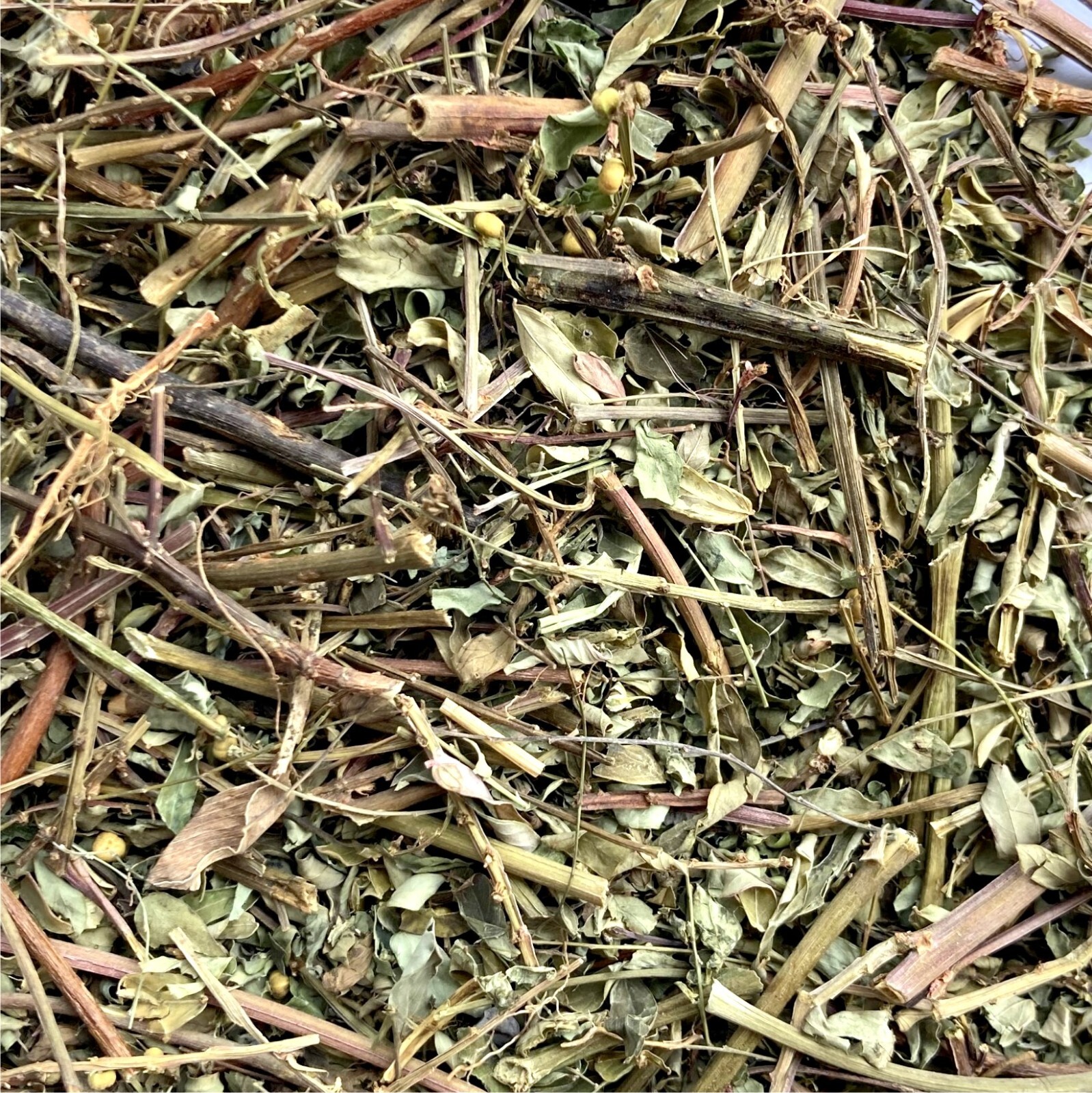 Chanca Piedra – [Phyllanthus niruri] – dried herb – 1000g (1kg)-V