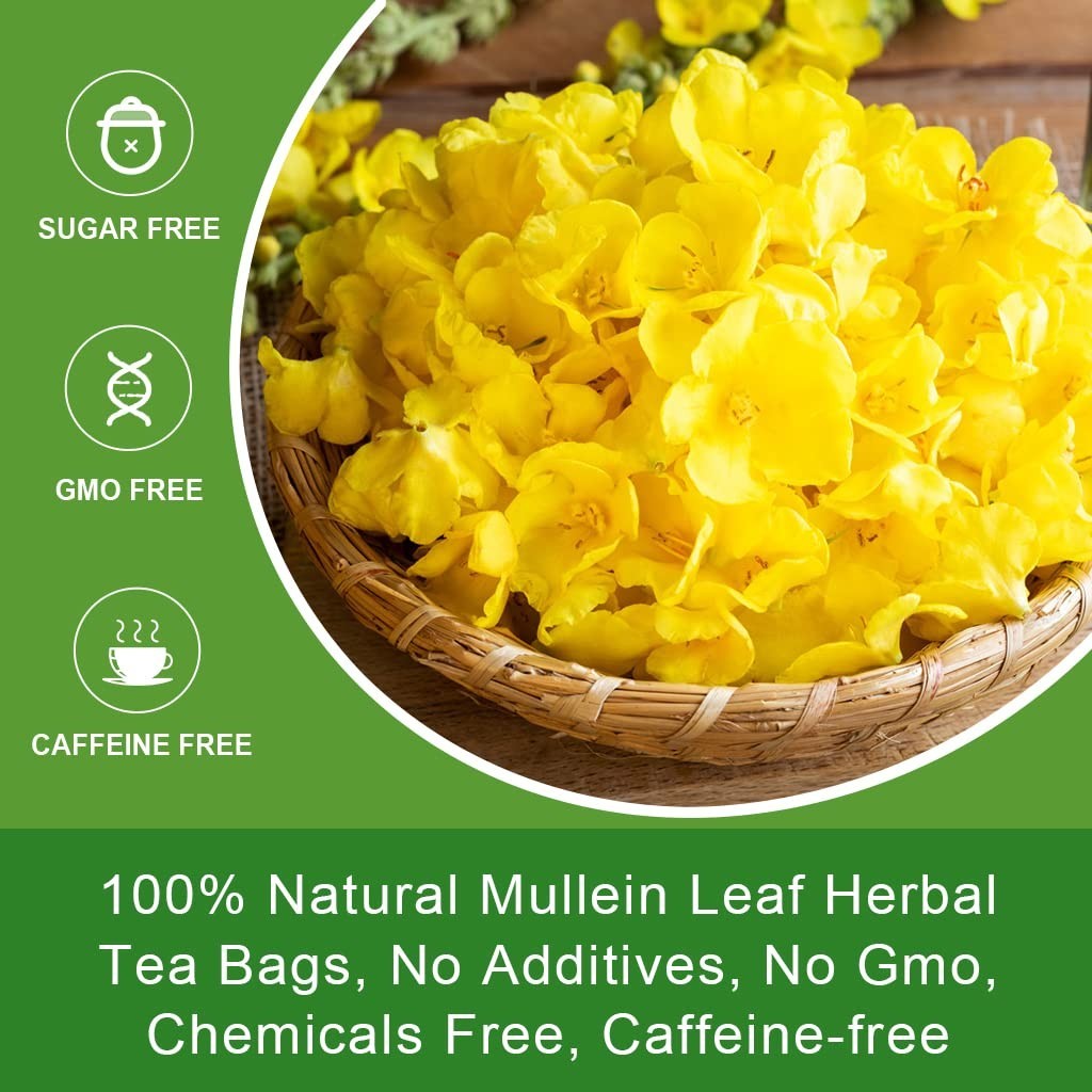 Mullein Tea Bags Natural Lung Support Respiratory Wellness 40 Count