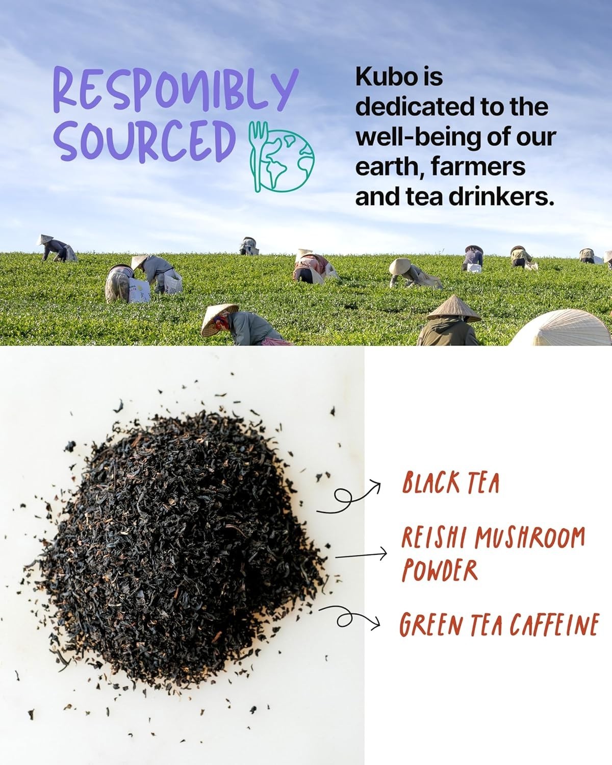 High Caffeine Mushroom Tea 155 mg – : Organic Reishi Breakfast Black Tea Bags…
