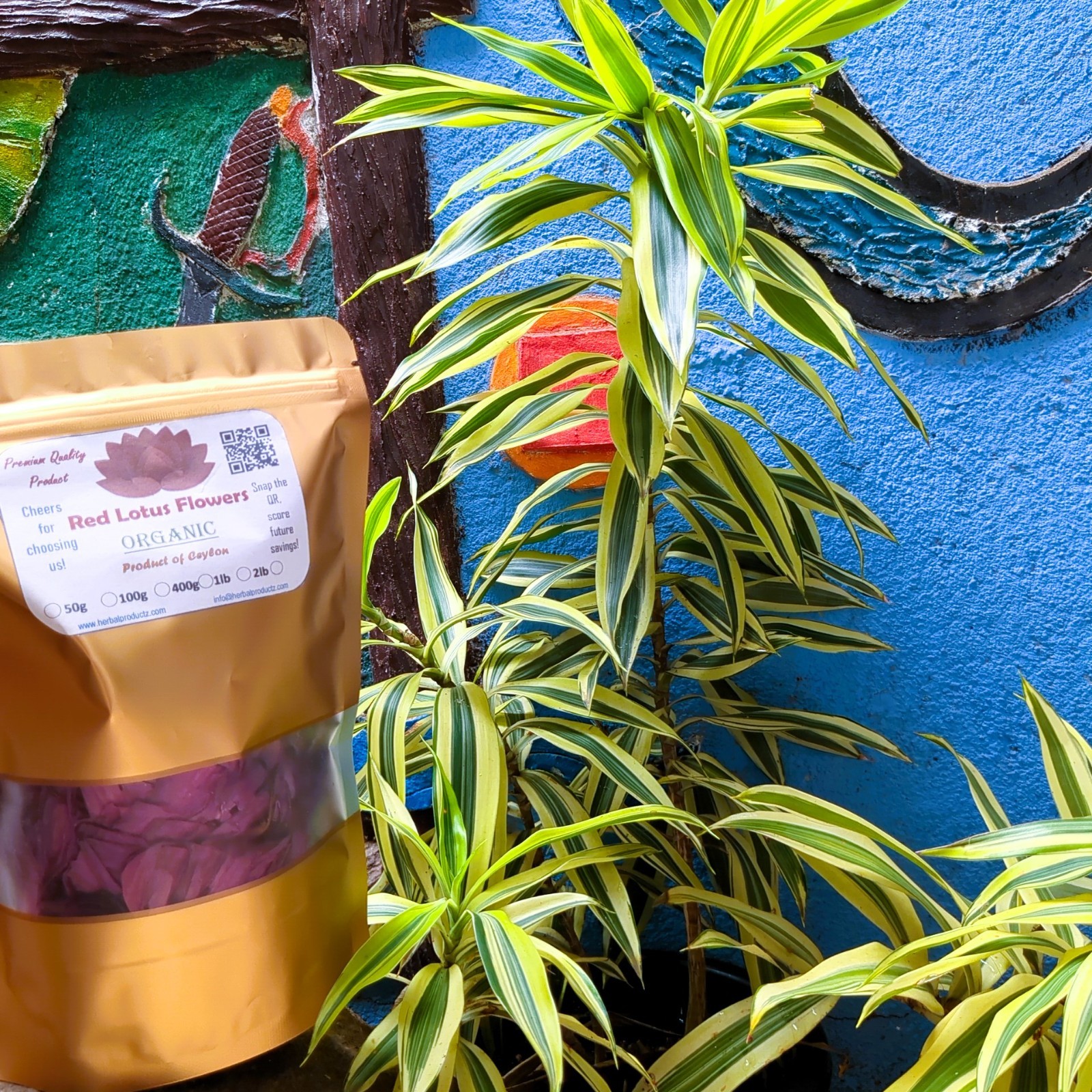 Dried Red Lotus| Nymphaea Rubra 100% Hand Picked Ceylon Natural Organic Herb Tea