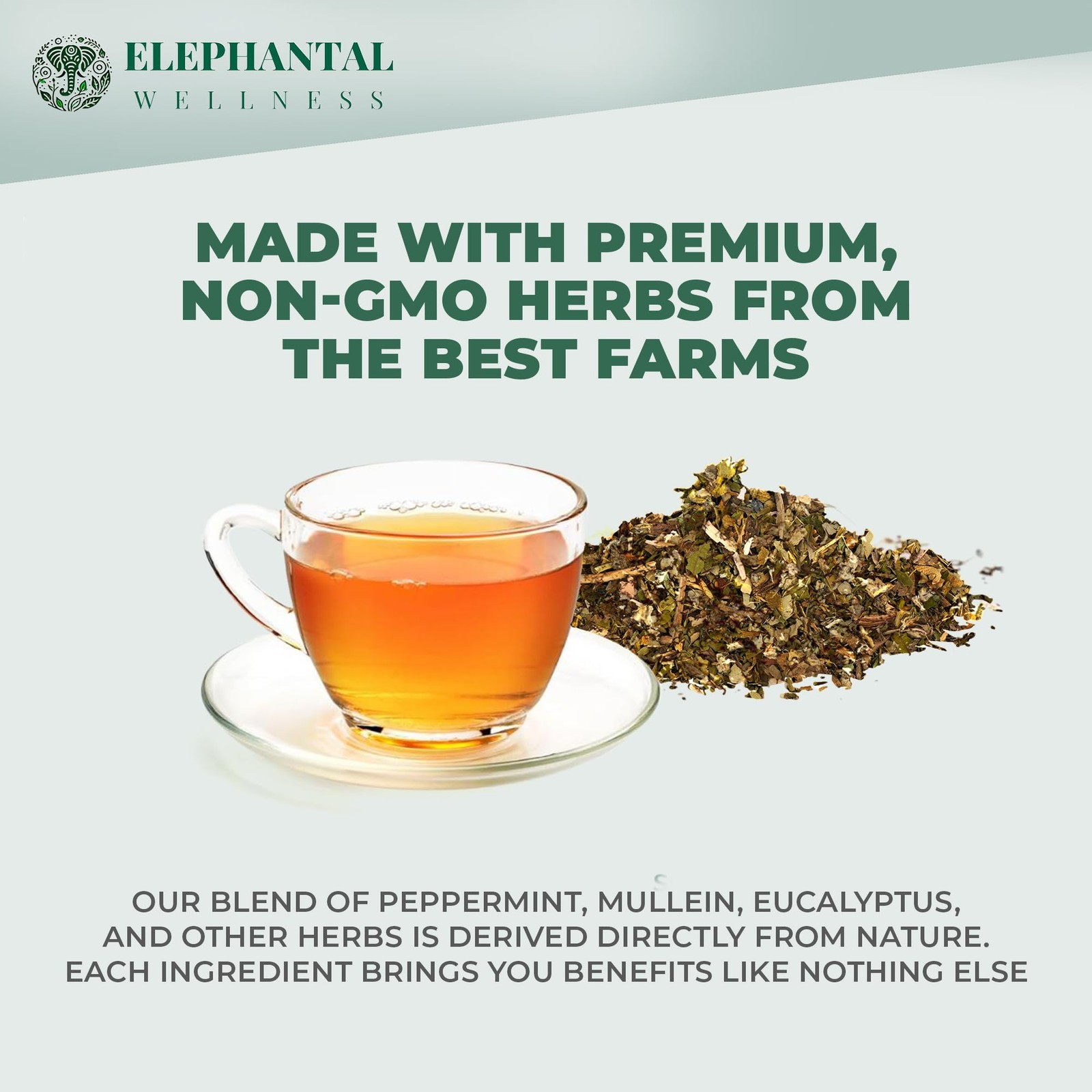 Elephantal Wellness Premium Respiratory Herbal Tea | Lung Detox, Mucus Cleans…