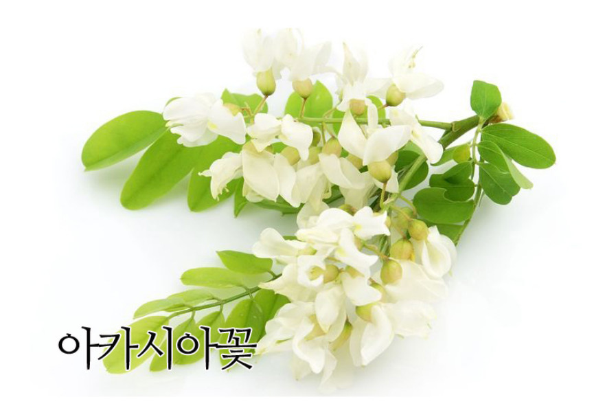 Premium Korean Acacia Flower Tea 80 PLA Pyramid Bags Caffeine Free Sweet