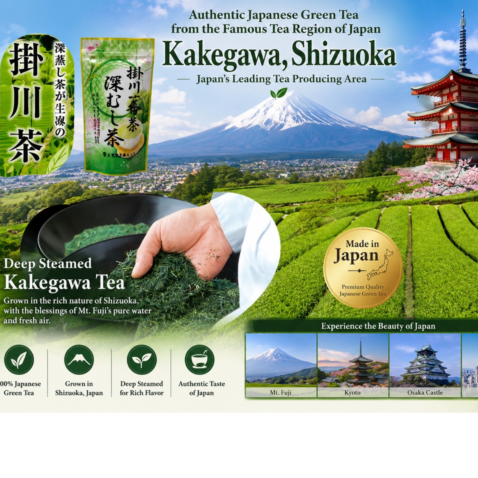 [900g 3 Packs] Otsuka Green Tea Deep-Steamed Japanese Sencha – Premium Green Tea