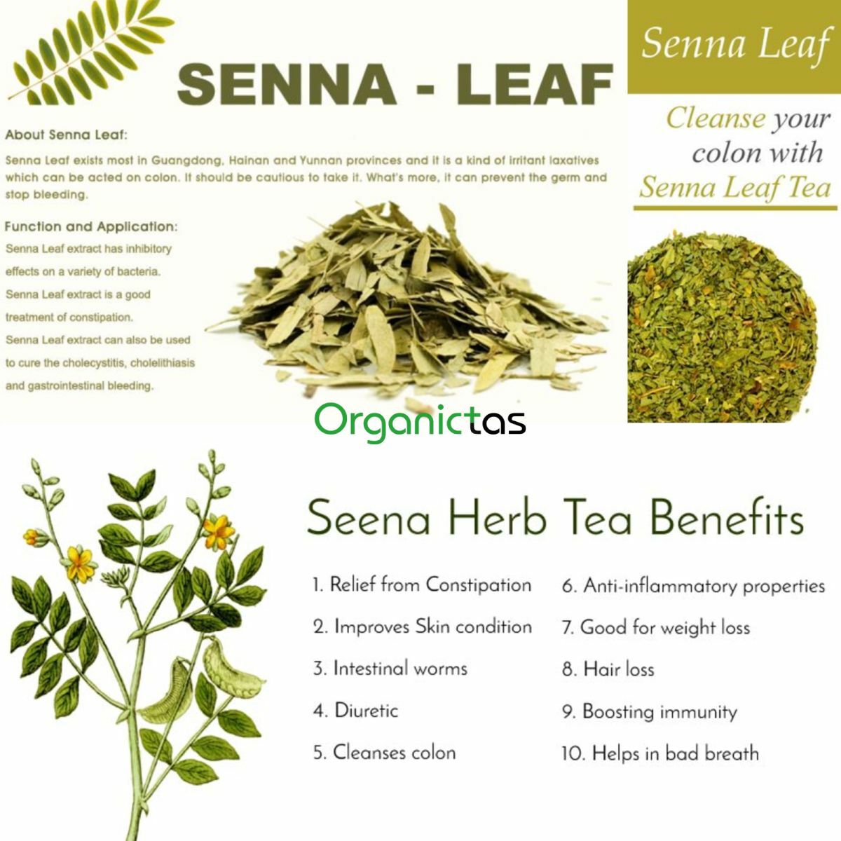 Organic SENNA LEAVES Herbal Tea Constipation Detox Weight Loss Premium Quality