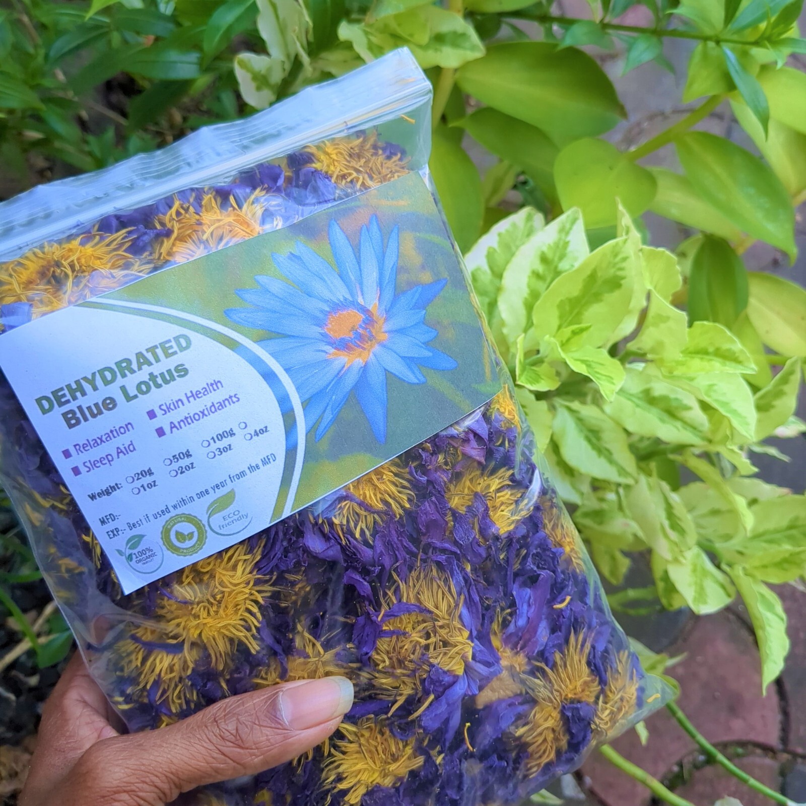 Dried Blue Lotus Nymphaea Caerulea Organic Hand Picked Pure Ceylon Herbal Flower