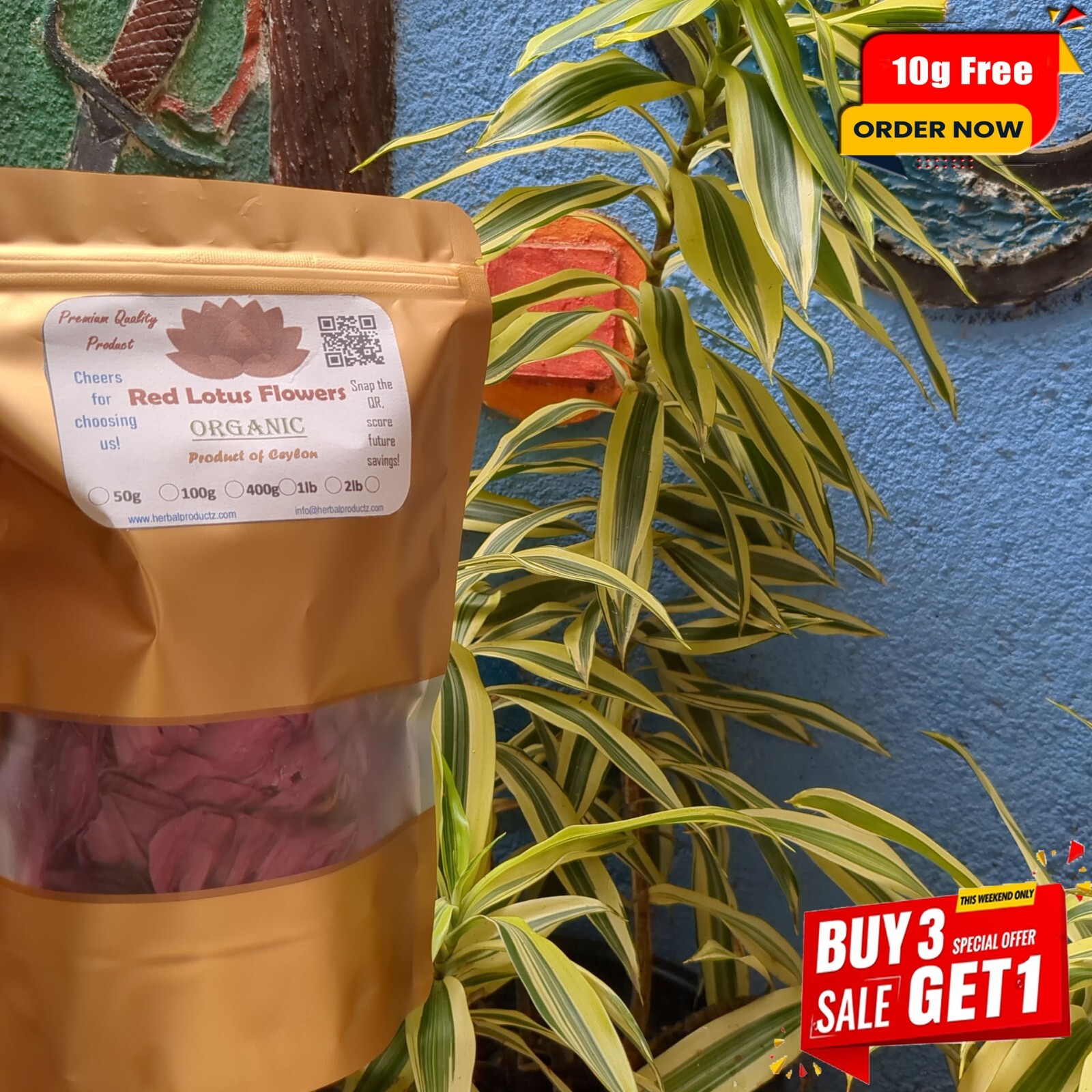 Dried Red Lotus| Nymphaea Rubra 100% Hand Picked Ceylon Natural Organic Herb Tea