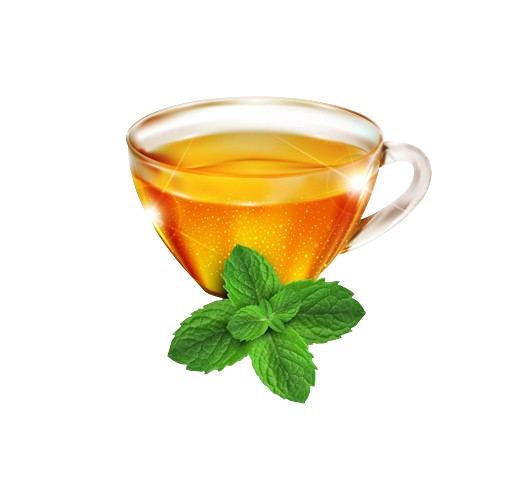 100% Organic Mint Leaves Herbal Tea Powder