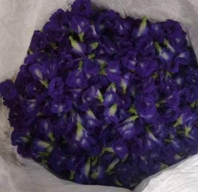 Blue Tea Butterfly Pea Flower Clitoria Ternatea Herbal Tea/ Blue Drink / NON_GMO