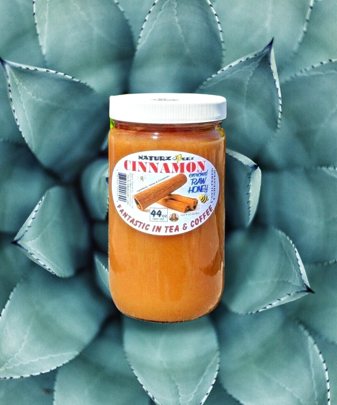 RAW HONEY with CINNAMON 2.75 Lbs / 44oz 100% PURE USA HONEY
