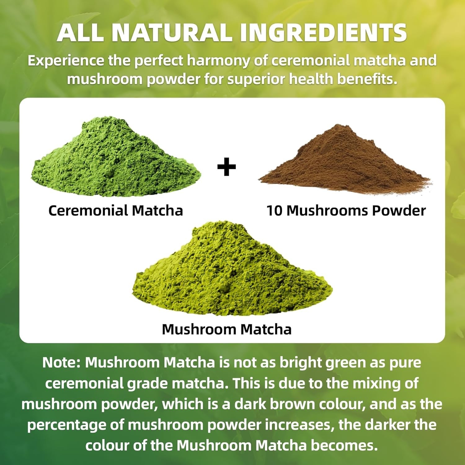 Mushroom Matcha Powder – 10 Superfoods for Unsweetened Energy & Health