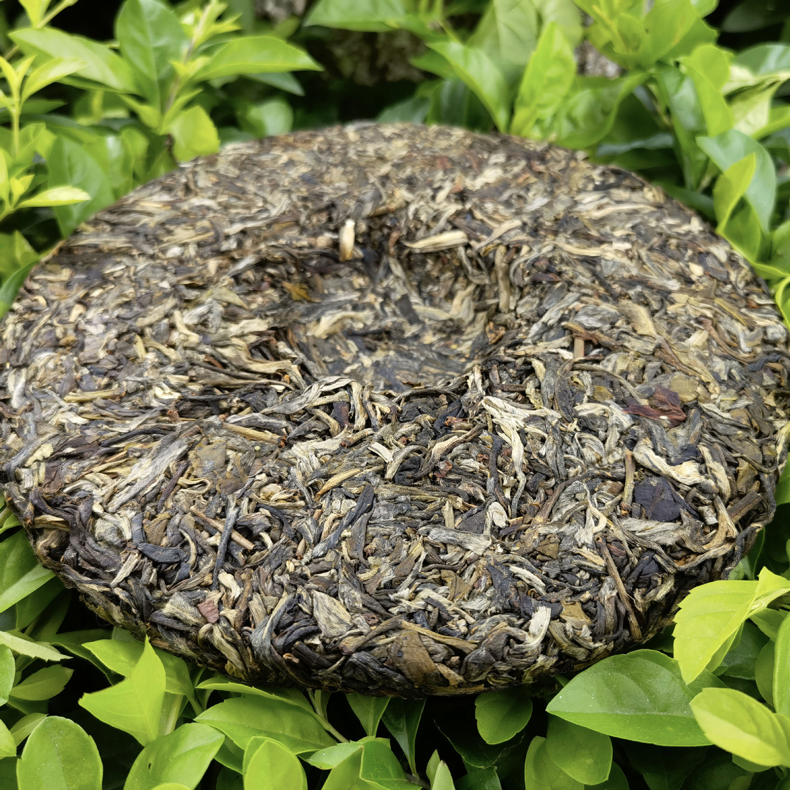 Menghai Ancient Tree Raw Pu-erh Tea Cake 357g First Spring