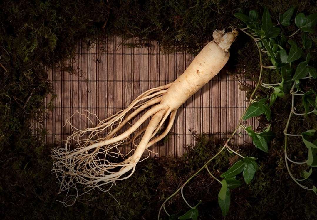 [Boo Ja Red Ginseng] Korean 6 Years Red Ginseng 10ml *30p