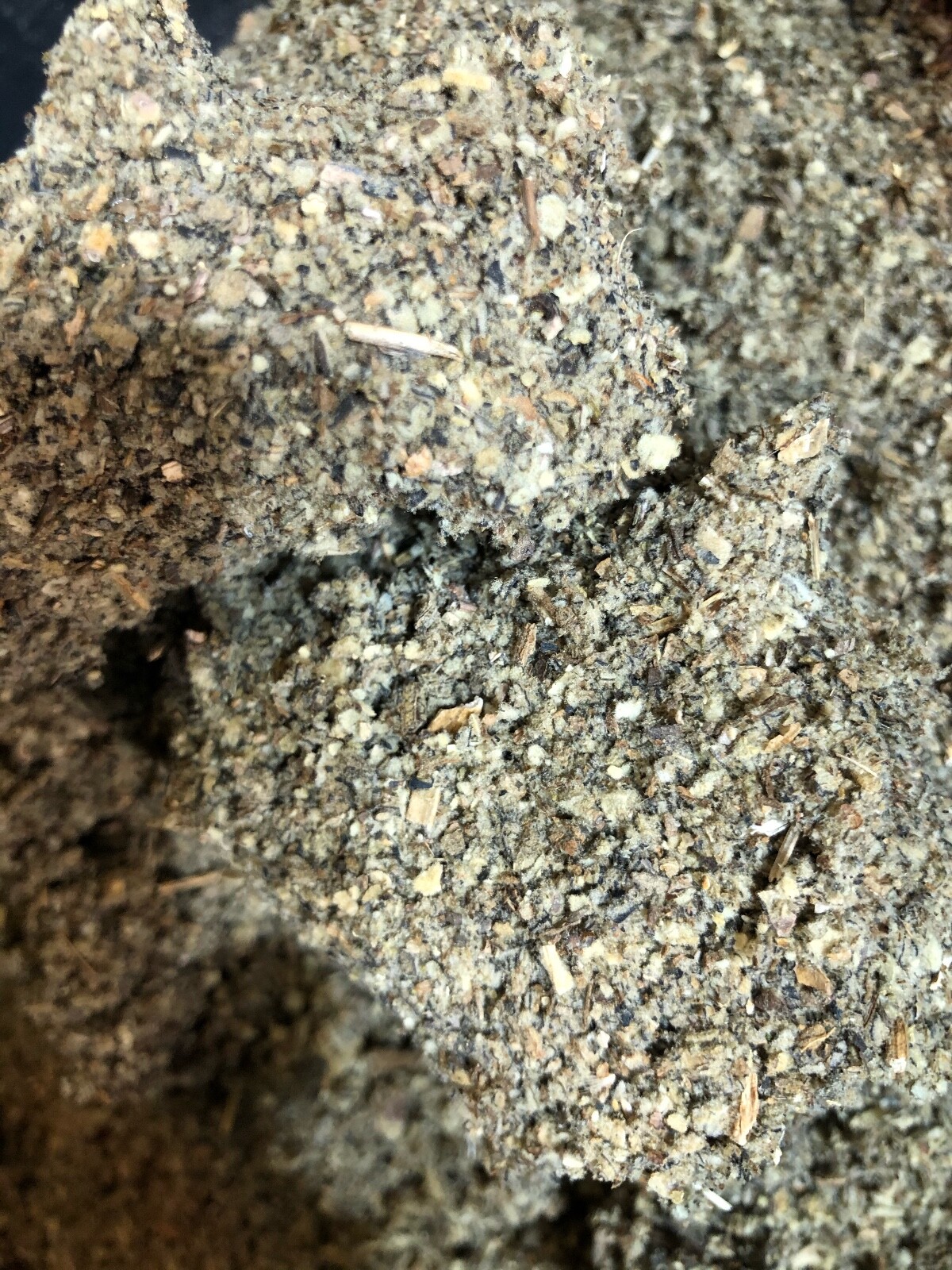 Mullein Leaf – Bulk Organic Herbal – 1 LB POUND