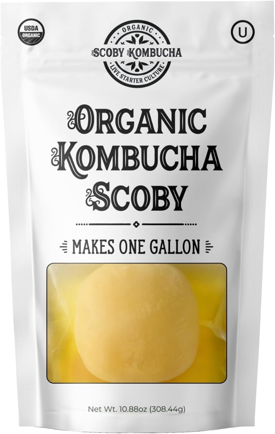Scoby Kombucha FBA_LEPAZC5747 1 X Organic Kombucha Scoby-Live Culture