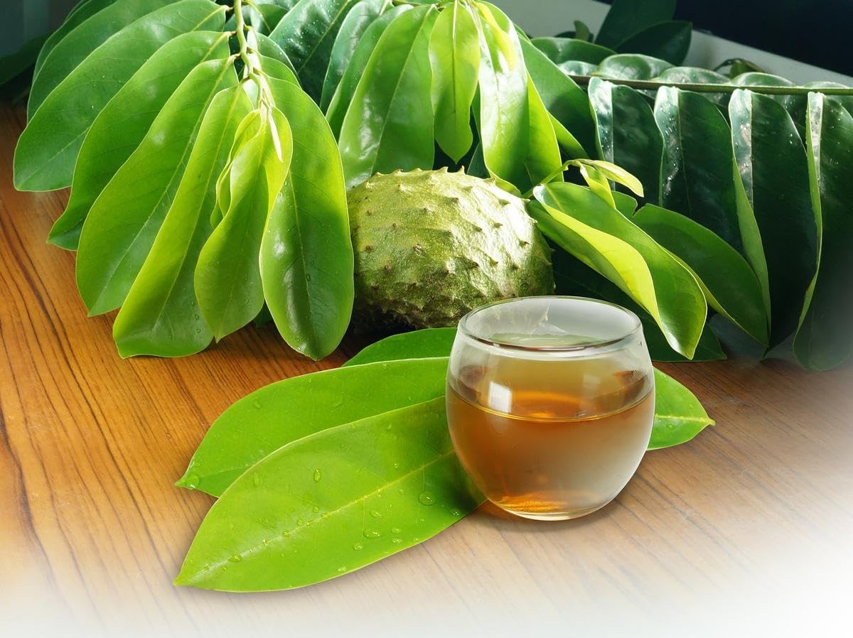 Dried Soursop Leaves – Organic, Non-GMO, Caffeine-Free Herbal Tea, 270+ Count