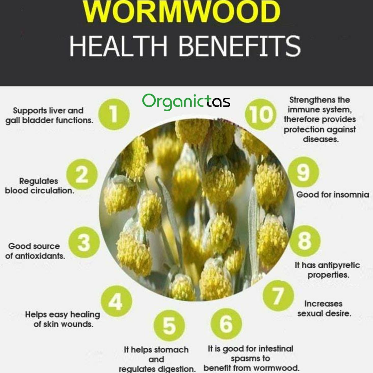 Artemisia Absinthium Organic Wormwood Tea – Best Premium Quality Health Benefits
