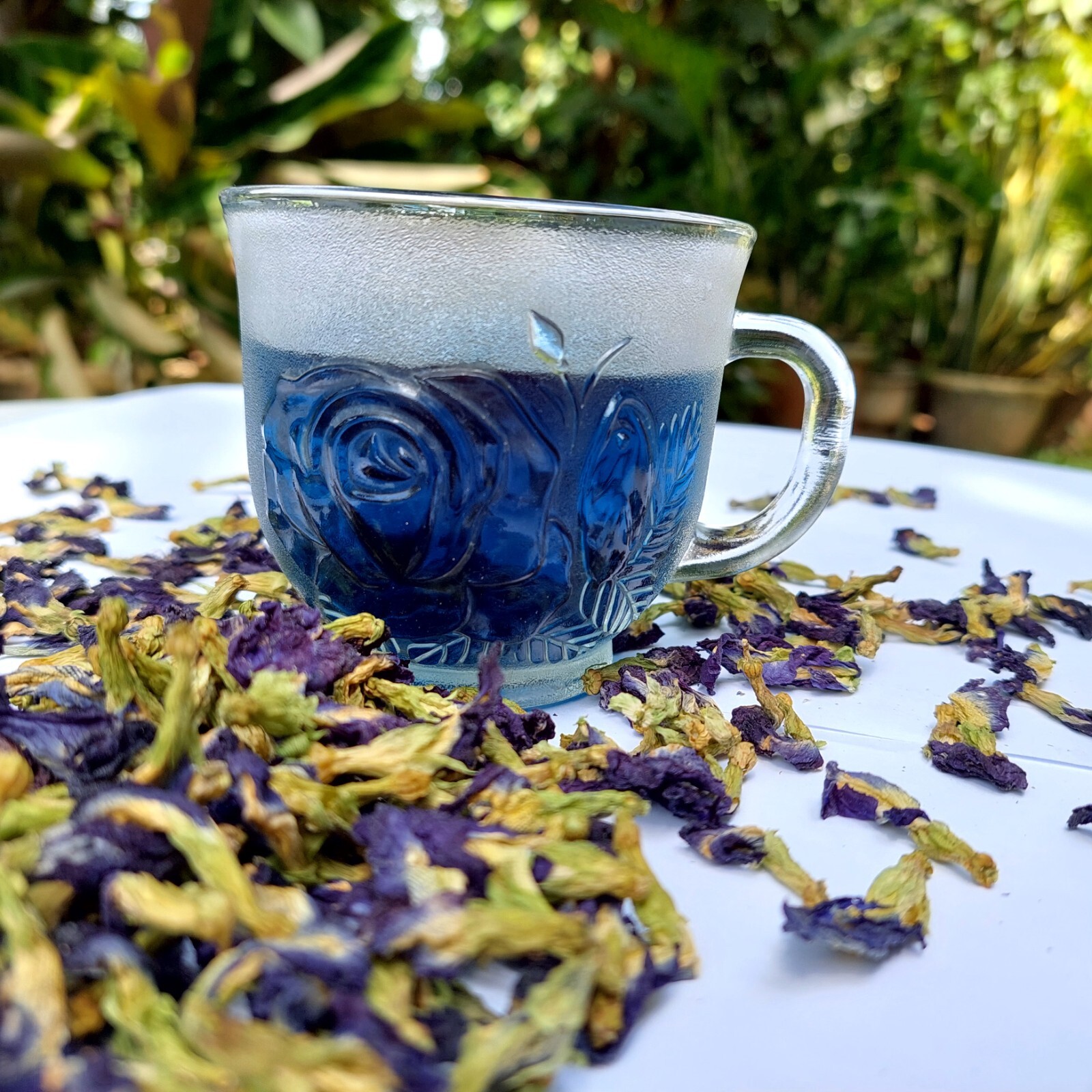 500g Blue Butterfly Pea Flower Clitoria Ternatea Nil Katarodu For Herbal Drink