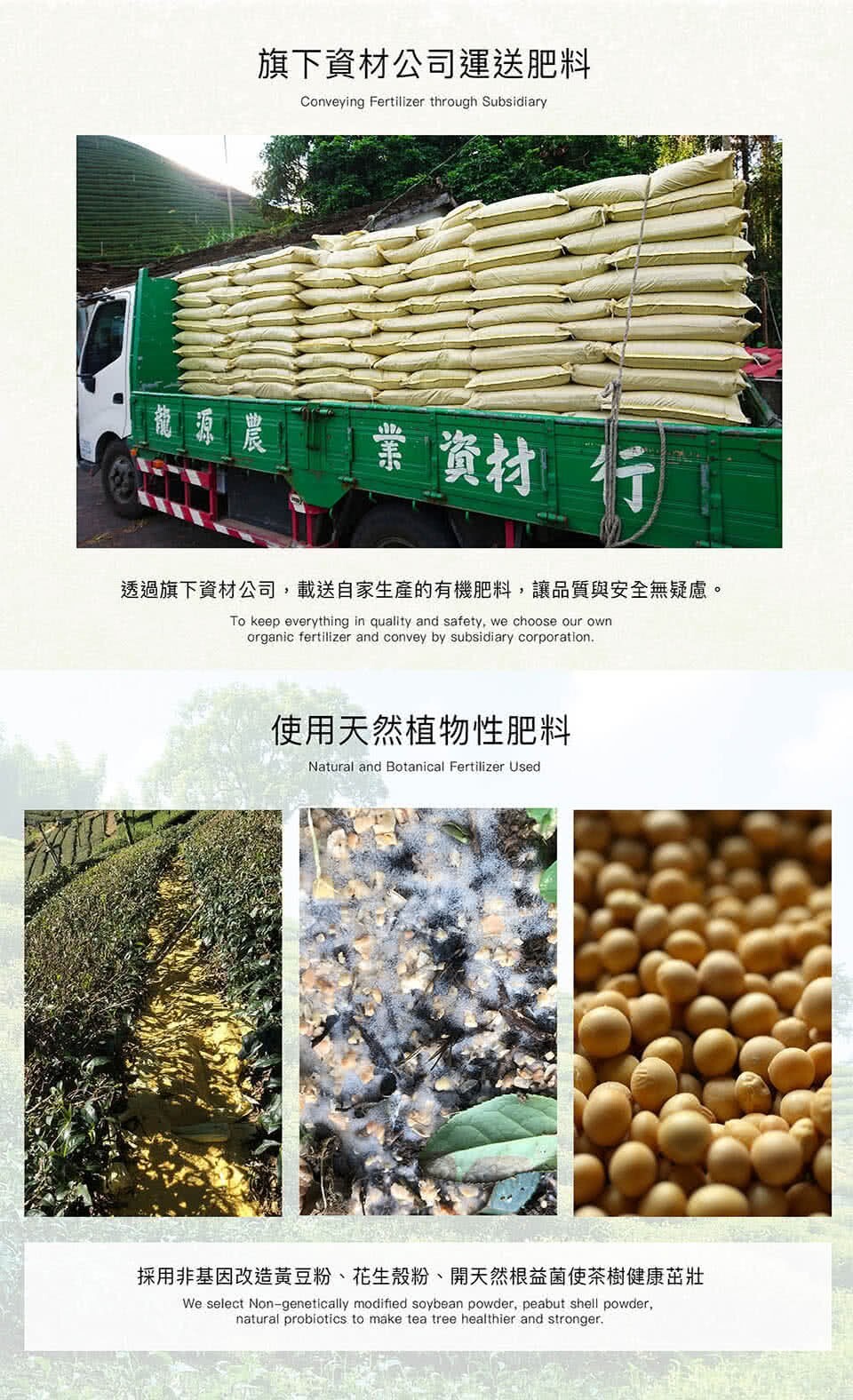 台灣特色茶 梨山茶自然回甘烏龍茶葉 150gx6