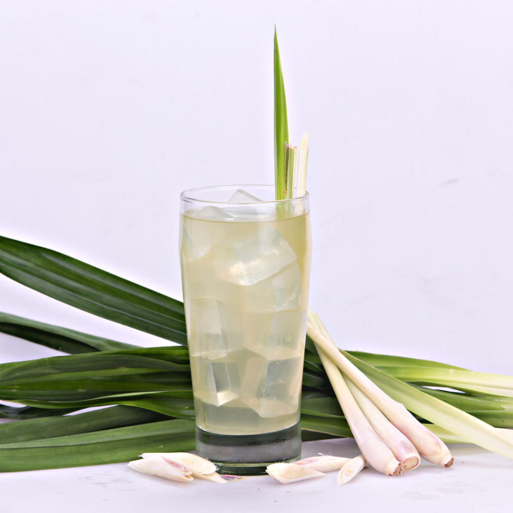 Tea Lemongrass Pandan Herbal Organic Natural Premium Thai Drink Set 75 Tea Bags